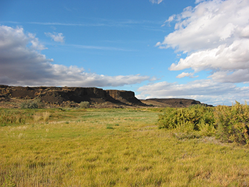 Camel Springs Easement