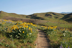 Sage Hills