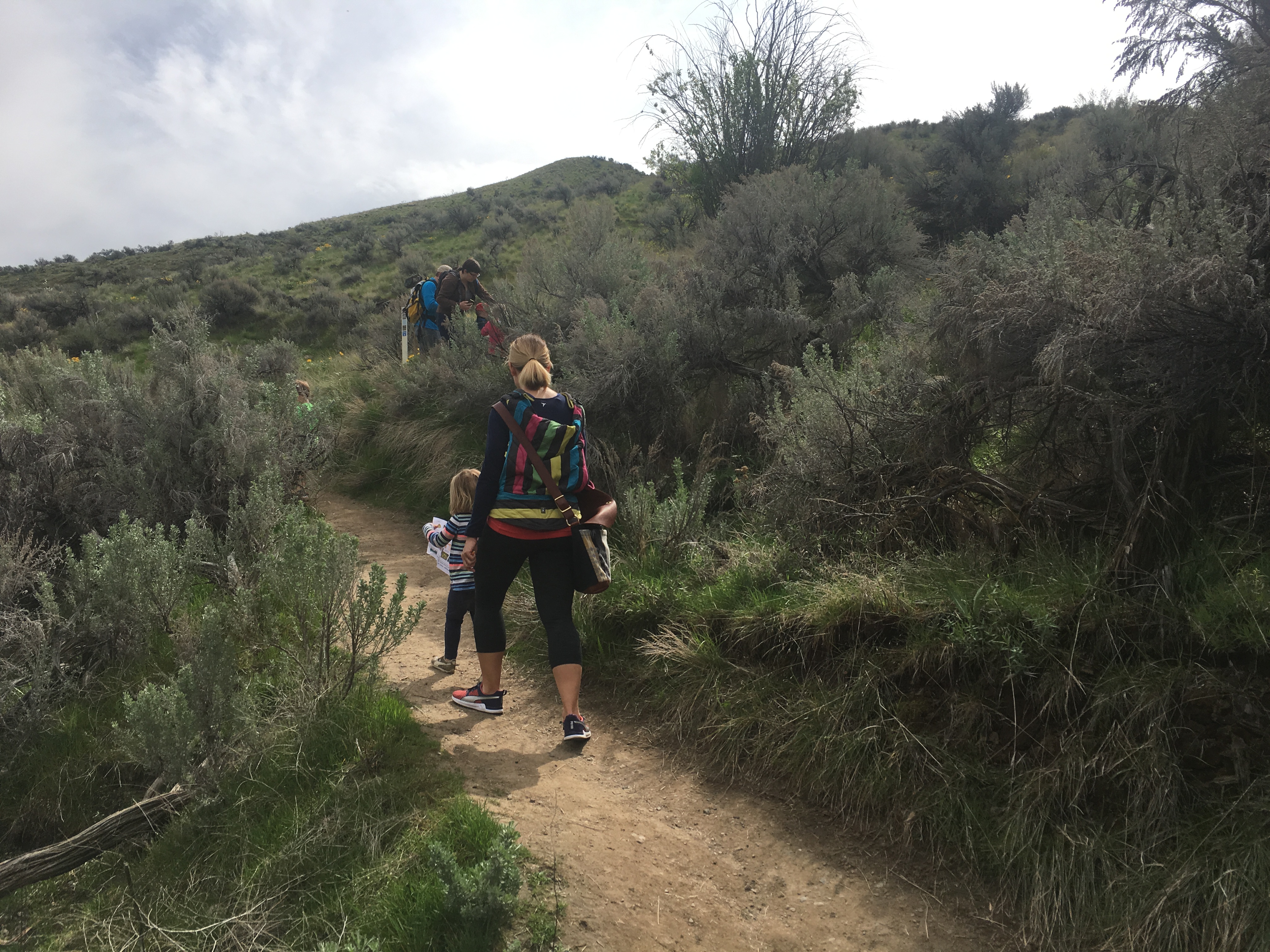 Jacobson Preserve