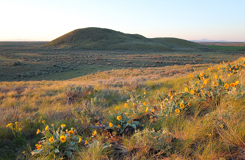 Spiva Butte Nature Preserve