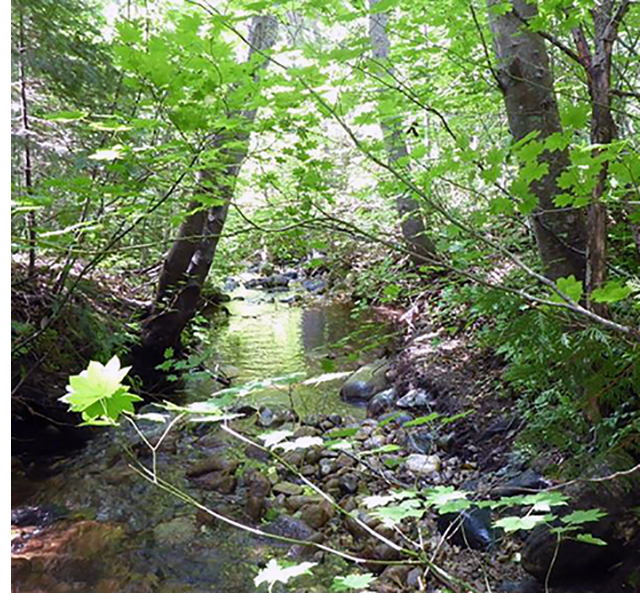 Kahler Creek