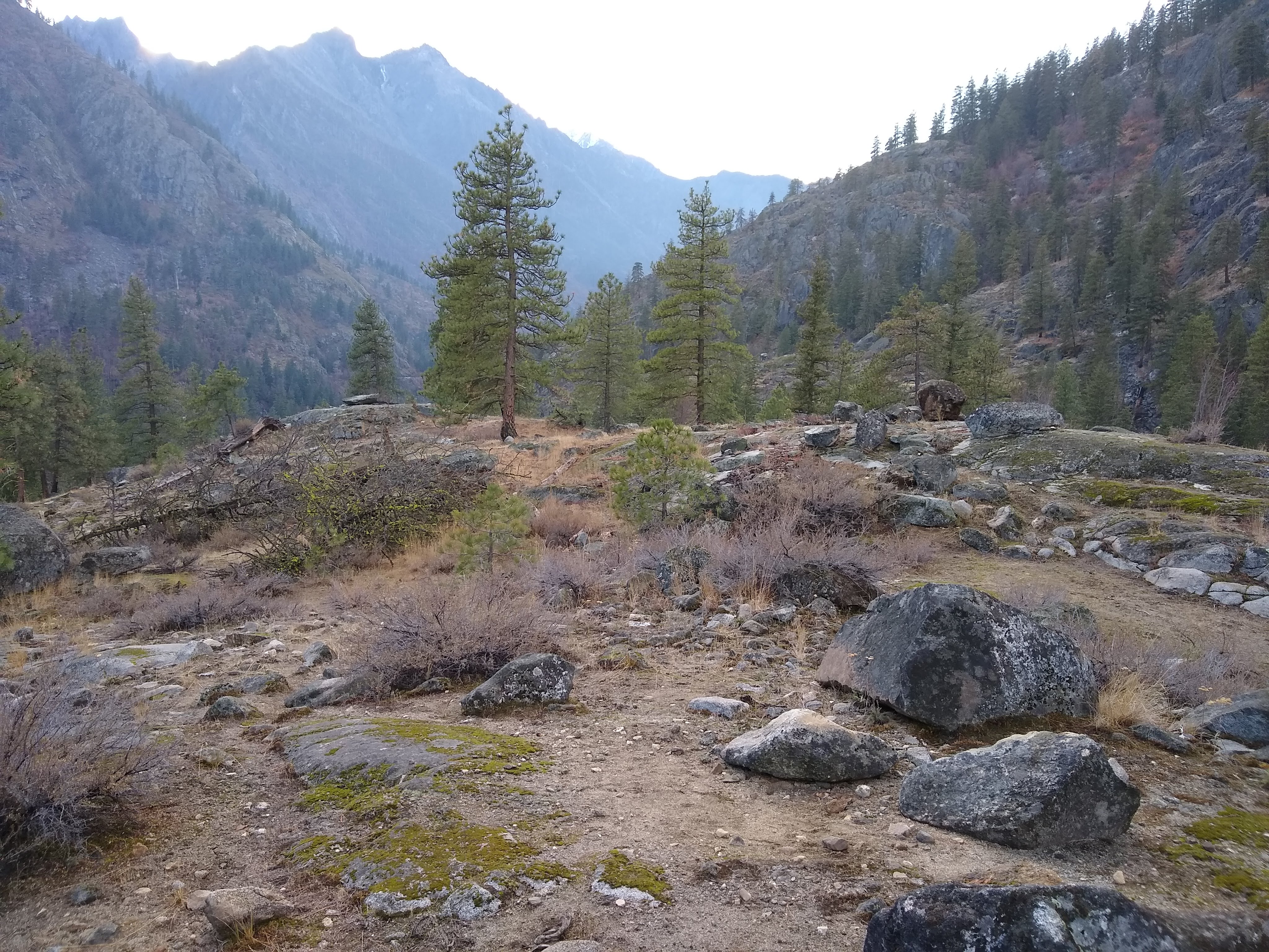 view from Sam Hill property