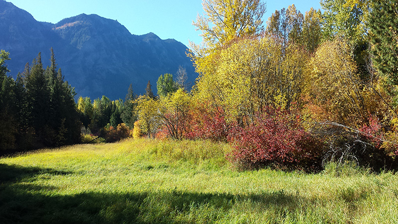 picture of property in autumn