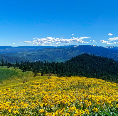 Cashmere Canyons Preserve
