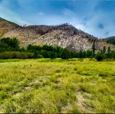 Chelan Coulee