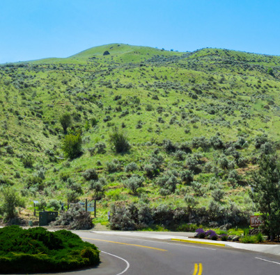 Foothills trails