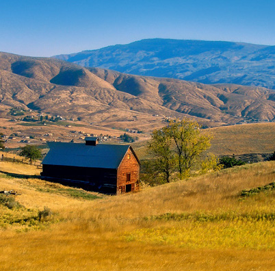 Horse Lake Reserve