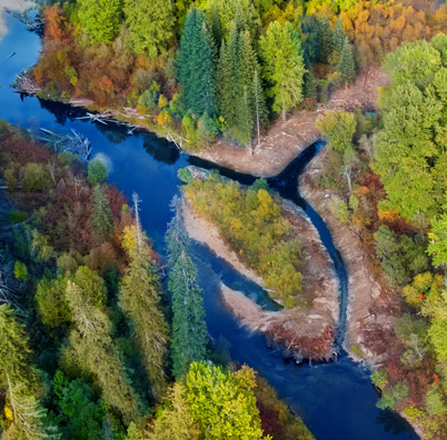 Nason Creek