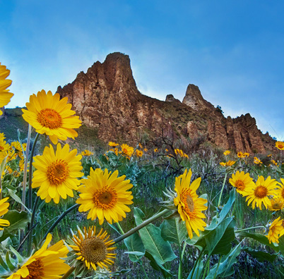 Saddle Rock