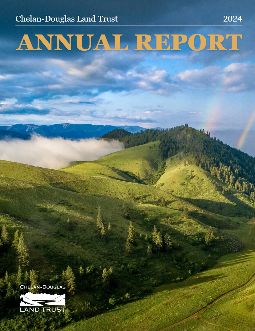 2024 Annual Report Cover