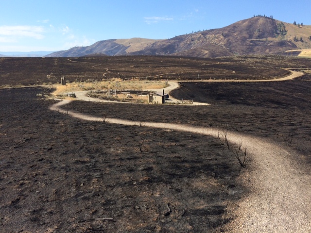 Fire Update