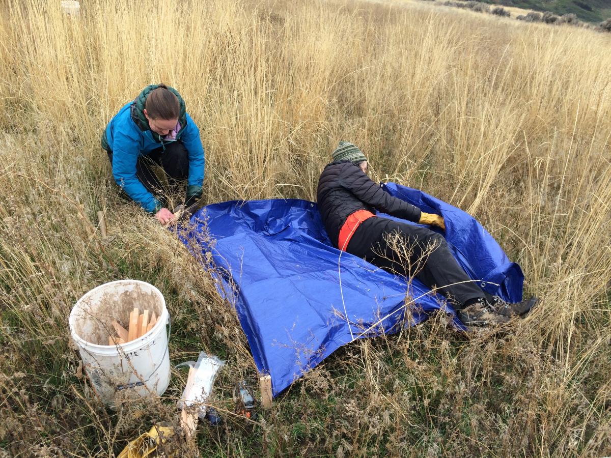 Neal and Susan use GPS data to determine where to place the first tarp.