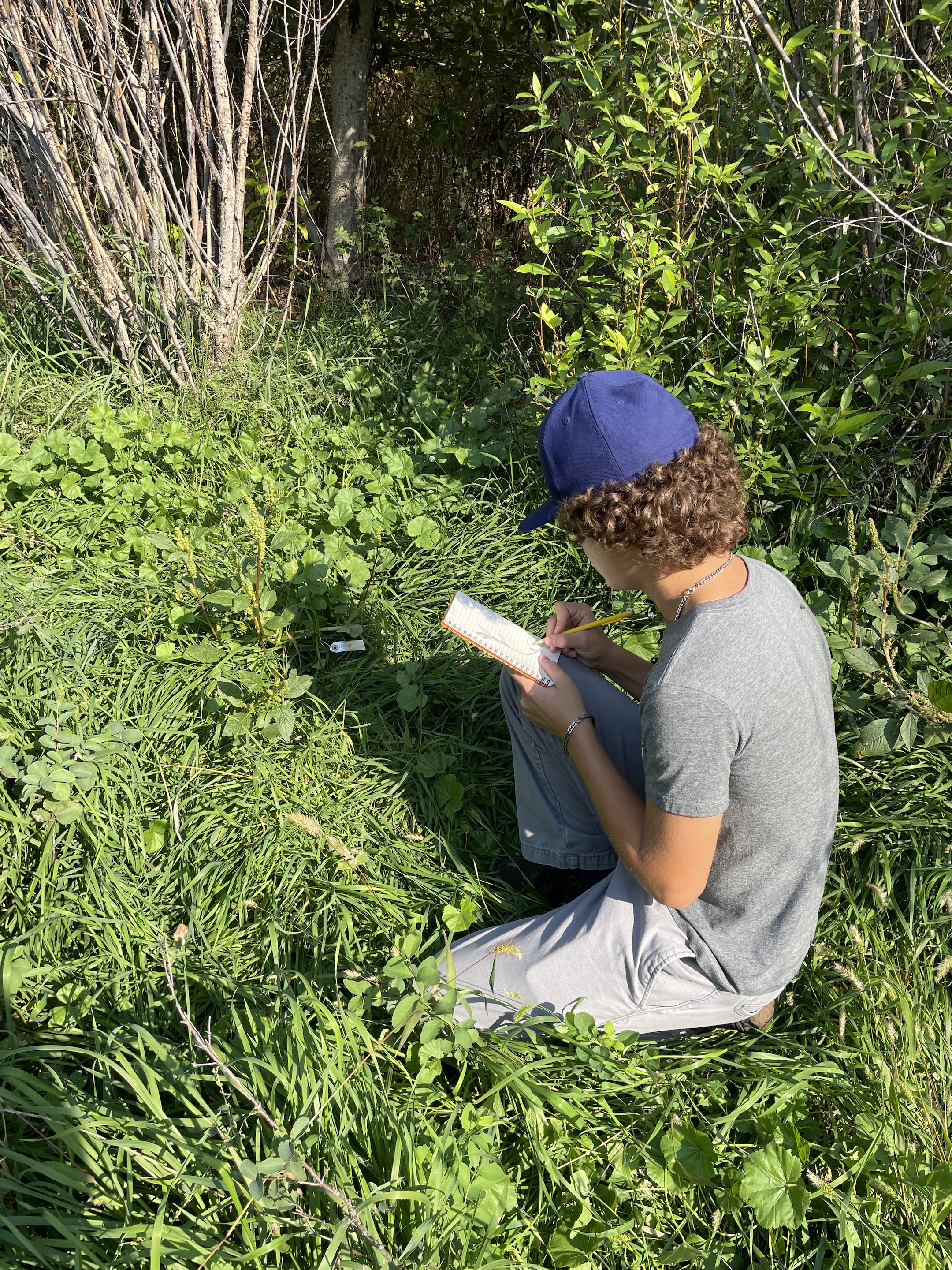 student journaling nature observations 