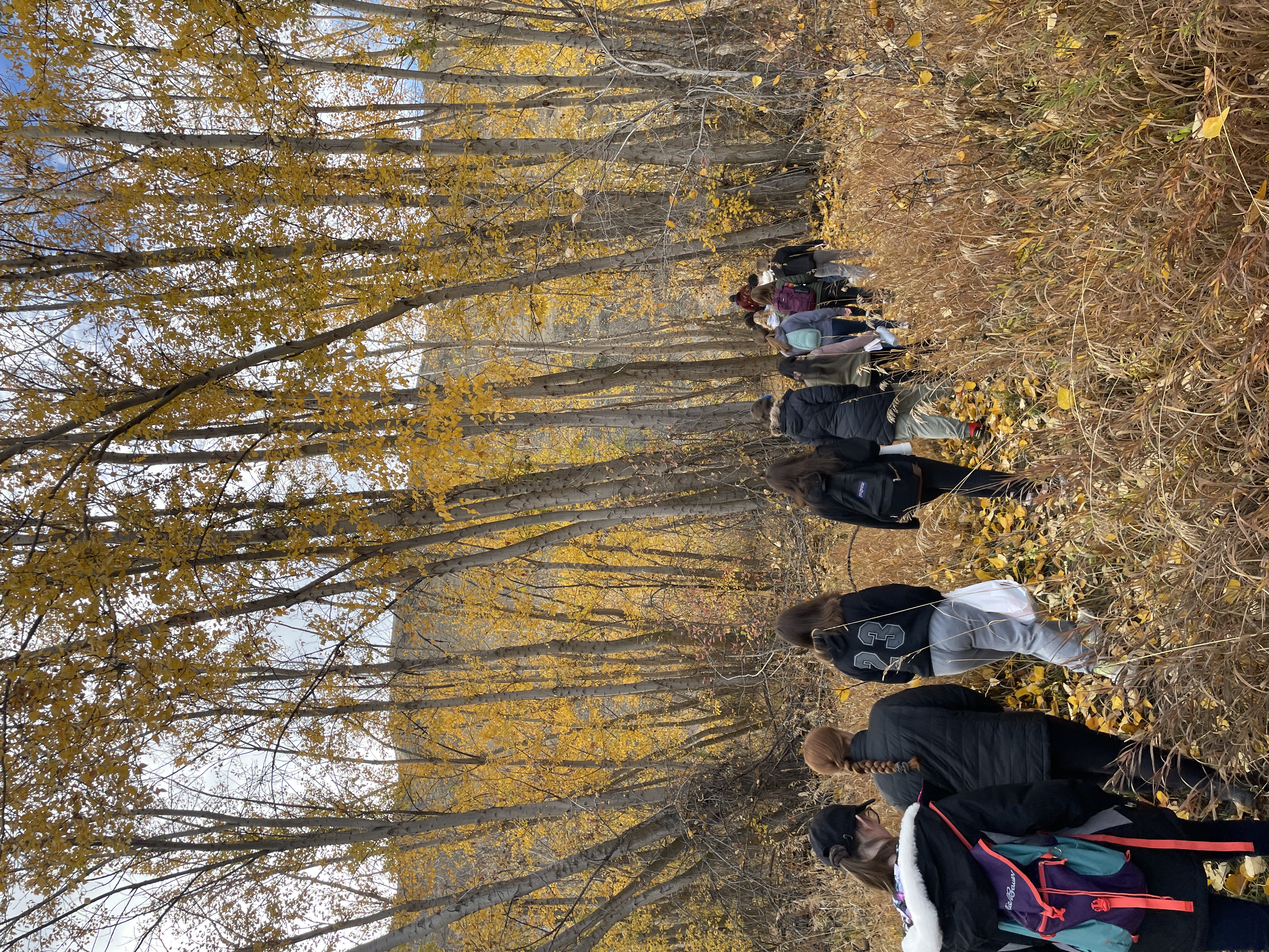 kids walking on trail