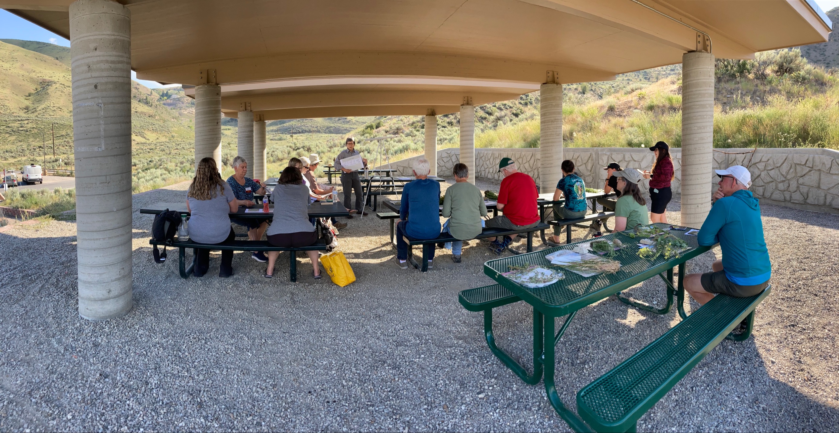 people sitting on picnic table under shaded shelter