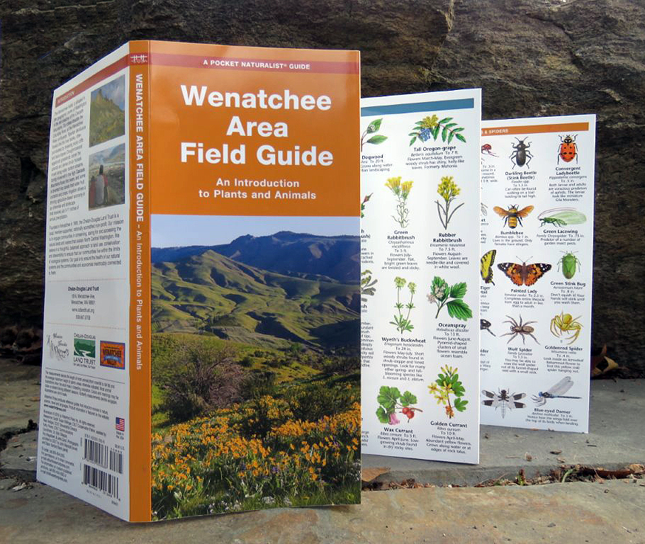 Wenatchee Area Field Guide