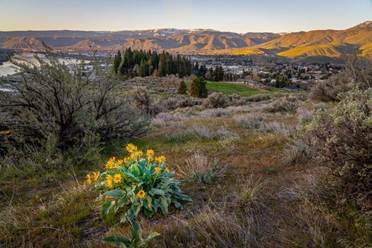 Image of Lookout property