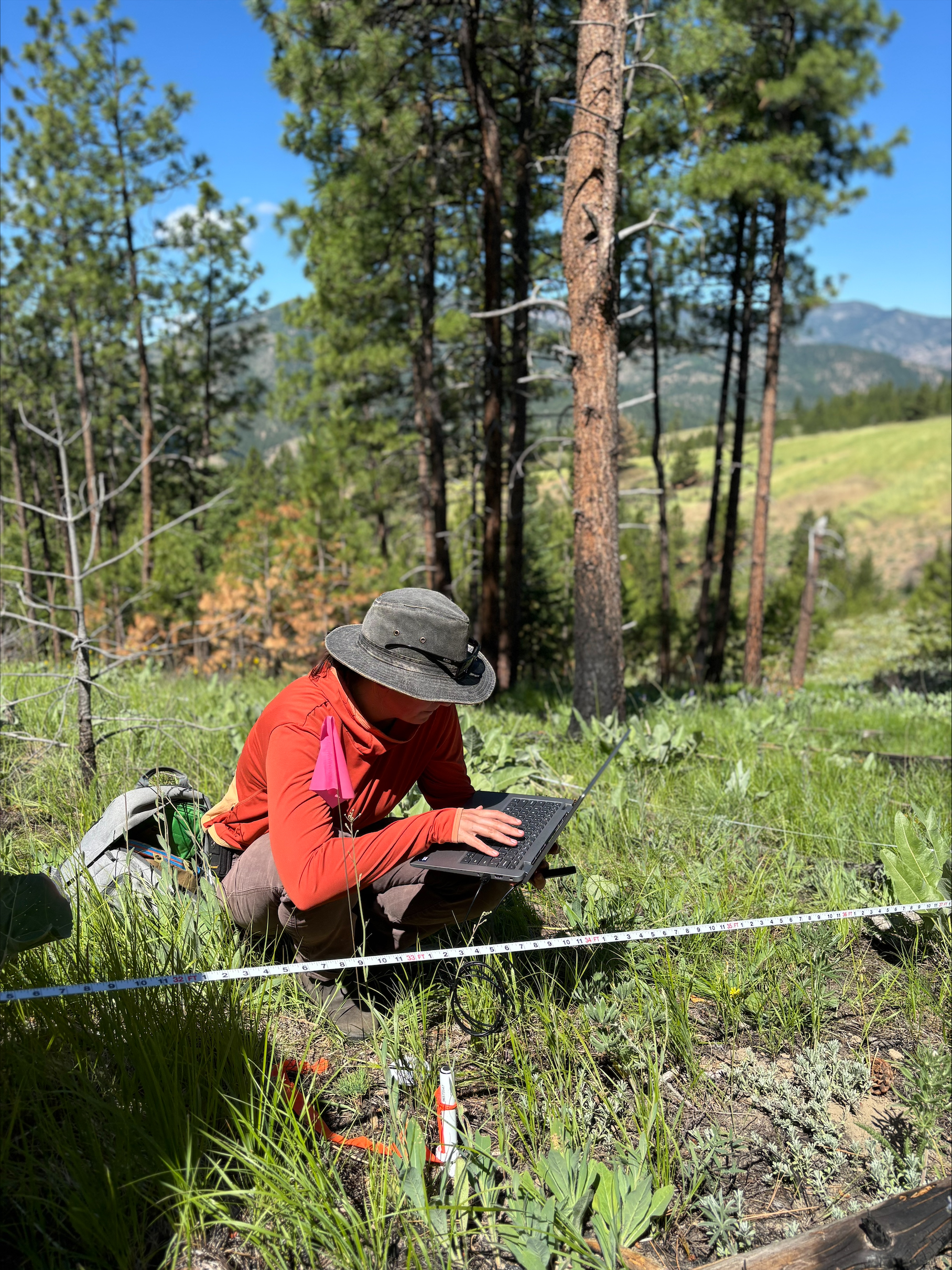 student outdoors with laptop