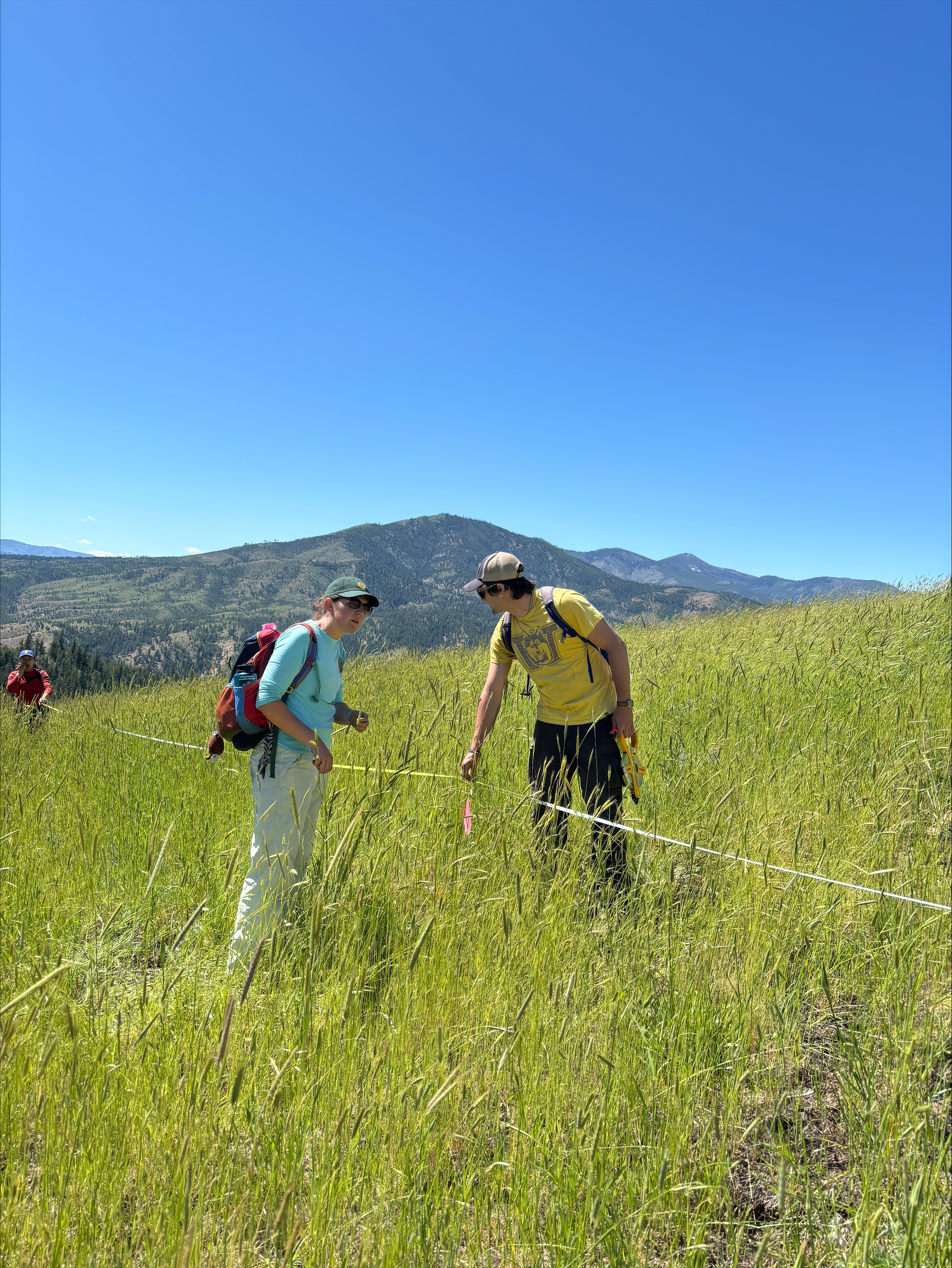 students at work on grassy field