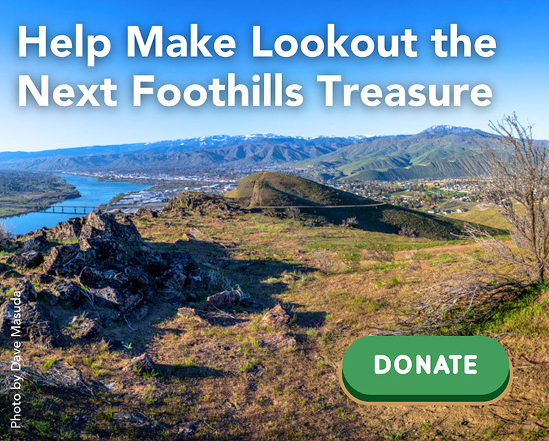 Foothills treasure Donate photo
