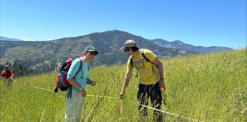 students on a grass field
