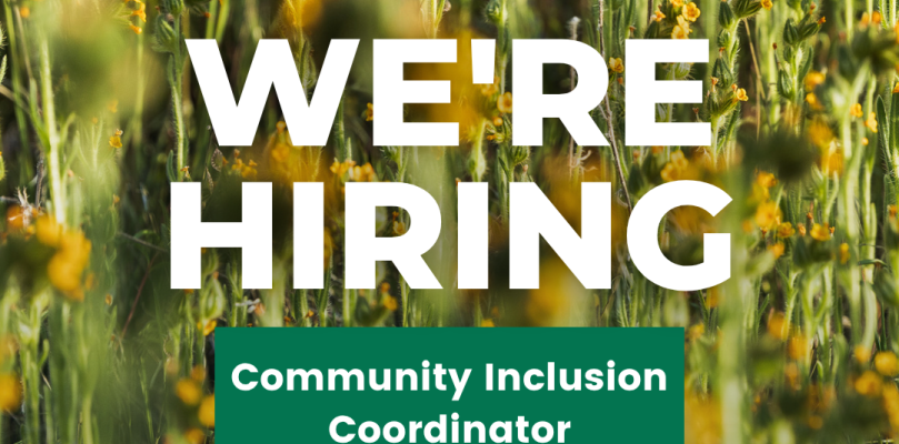 we're hiring text image 