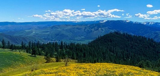 Cashmere Canyons Preserve
