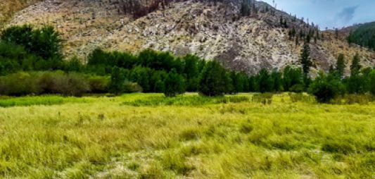 Chelan Coulee