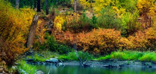 Entiat River