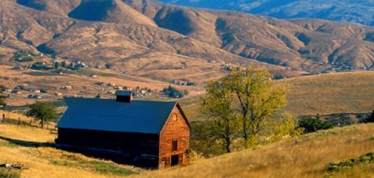 Horse Lake Reserve