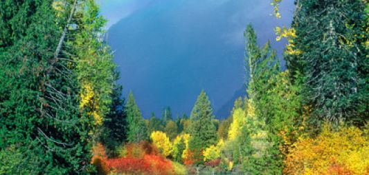 White River area