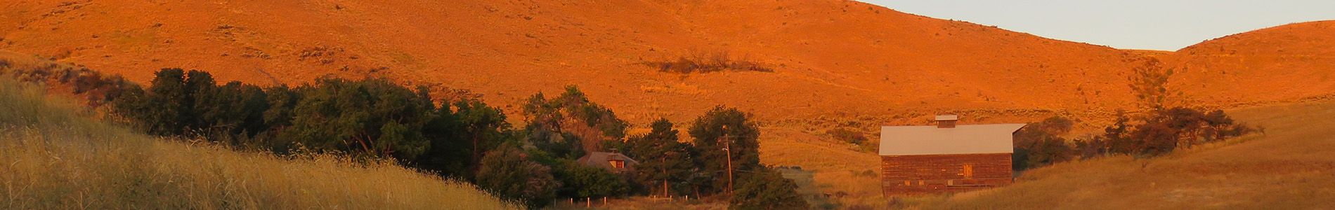History of the Horse Lake Area