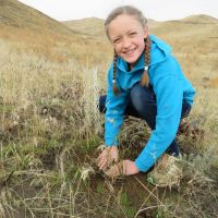 Planting for Pollinators