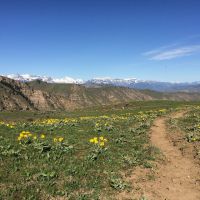 Walk-and-Talk Series