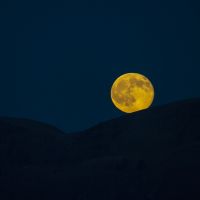 Summer Solstice Full Moon Walk @ Jacobson Preserve