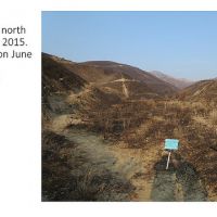 Post-fire Plant Monitoring