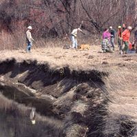 Stormy Creek Planting