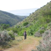 Stewardship at Warm Springs