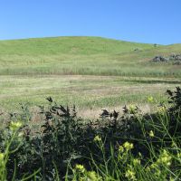 Horse Lake Restoration