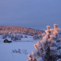 Ode to Winter